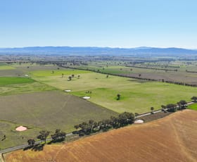 Rural / Farming commercial property for sale at Lot 301 Warral-Bithramere Road Tamworth NSW 2340