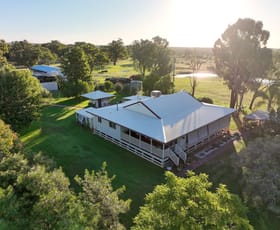 Rural / Farming commercial property for sale at 518 Jacks Creek Road Narrabri NSW 2390