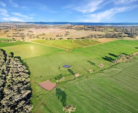 Rural / Farming commercial property for sale at 2482 Kings Plains Road Sapphire NSW 2360