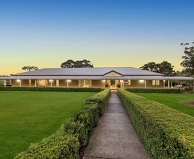 Rural / Farming commercial property for sale at 101 Pacific Highway Mount White NSW 2250