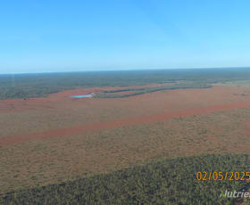 Rural / Farming commercial property for sale at Cable Downs/12847 Louth Road Cobar NSW 2835