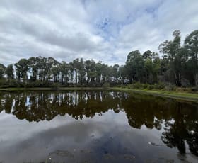 Rural / Farming commercial property for sale at 631 Tattenham Road Meerup WA 6262