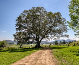 Rural / Farming commercial property for sale at 376 Fawcett Plains Road Fawcetts Plain NSW 2474