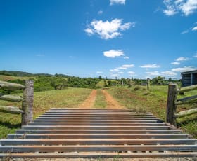 Rural / Farming commercial property for sale at Lot 10 Camp Creek Road Camp Creek QLD 4871