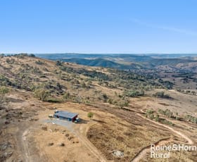Rural / Farming commercial property for sale at 1036 Greenmantle Road Bigga NSW 2583