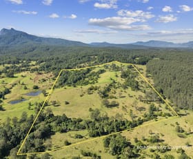Rural / Farming commercial property for sale at 1010 Brays Creek Road Brays Creek NSW 2484