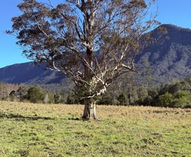Rural / Farming commercial property for sale at 1010 Brays Creek Road Brays Creek NSW 2484