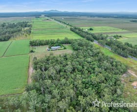 Rural / Farming commercial property for sale at 21992 Bruce Highway Glenorchy QLD 4650