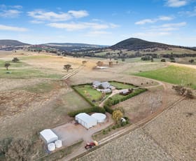 Rural / Farming commercial property for sale at 131 Edinboro Lane Orange NSW 2800