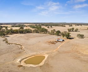 Rural / Farming commercial property for sale at "Cairn Hill" Cnr Patons & Doles Road Kimbolton VIC 3551