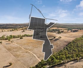 Rural / Farming commercial property for sale at "Cairn Hill" Cnr Patons & Doles Road Kimbolton VIC 3551