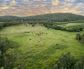 Rural / Farming commercial property for sale at 24 Petersen Road Koumala QLD 4738