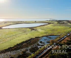 Rural / Farming commercial property for sale at 135/135 Randell Road Hindmarsh Island SA 5214