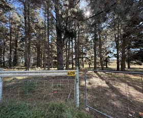 Rural / Farming commercial property for sale at 609 Jacqua Road Windellama NSW 2580