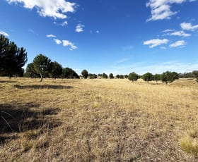 Rural / Farming commercial property for sale at 609 Jacqua Road Windellama NSW 2580