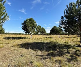 Rural / Farming commercial property for sale at 609 Jacqua Road Windellama NSW 2580