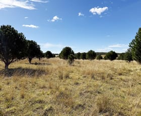 Rural / Farming commercial property for sale at 609 Jacqua Road Windellama NSW 2580 Rural / Farming commercial property for sale at 609 Jacqua Road Windellama NSW 2580