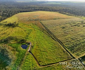Rural / Farming commercial property for sale at 326 Springs Road Paddys Green QLD 4880