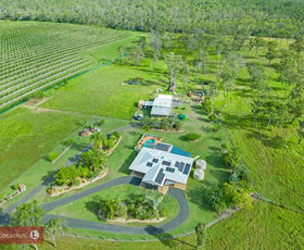 Rural / Farming commercial property for sale at 10 Willdora Drive Elliott QLD 4670