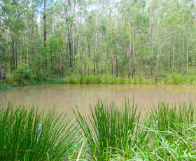Rural / Farming commercial property for sale at Lot 5 Long Gully Road Drake NSW 2469