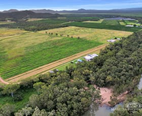 Rural / Farming commercial property for sale at 237 Chisari Road Mutchilba QLD 4872
