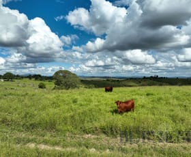 Rural / Farming commercial property for sale at 31791 Bruce Highway Booyal QLD 4671