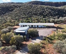 Rural / Farming commercial property for sale at 14 Minahan Road Ross NT 0873