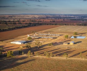 Rural / Farming commercial property for sale at Tara Moira Aggregation Trundle NSW 2875