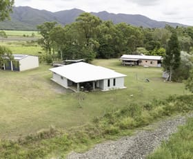 Rural / Farming commercial property for sale at 77 Arthur Creek Road Oakenden QLD 4741