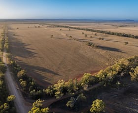 Rural / Farming commercial property for sale at 1489 Carlisle-Trundle Road Trundle NSW 2875