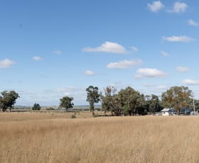 Rural / Farming commercial property for sale at "Glen Alvin" & "Lockyer" Elong Elong NSW 2831