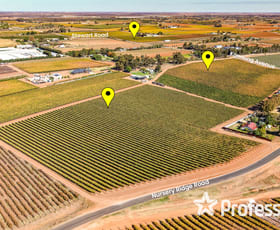 Rural / Farming commercial property for sale at 225 Stewart Road Red Cliffs VIC 3496