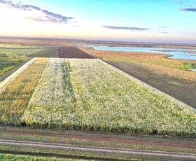 Rural / Farming commercial property for sale at 25 Lochinvar Road Brandon QLD 4808
