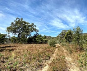 Rural / Farming commercial property for sale at 150 Reedy Creek Rd Rylstone NSW 2849