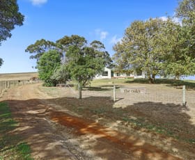 Rural / Farming commercial property for sale at 490 Timboon - Colac Road Scotts Creek VIC 3267