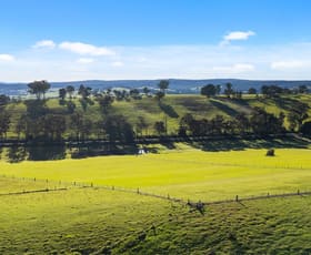 Rural / Farming commercial property for sale at 162 Baines Road Mossiface VIC 3885