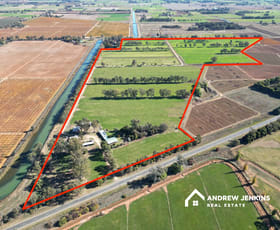 Rural / Farming commercial property for sale at 6235 Benalla-Tocumwal Rd Yarroweyah VIC 3644