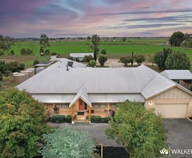 Rural / Farming commercial property for sale at 1416 Finlay Road Tongala VIC 3621