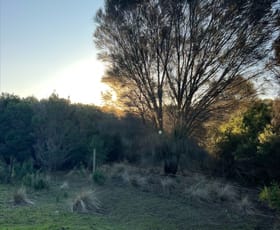 Rural / Farming commercial property for sale at Lot 1 Bluff Road Whitemark TAS 7255