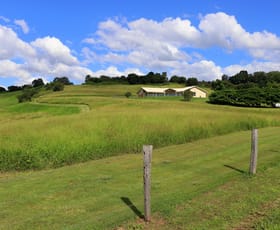 Rural / Farming commercial property for sale at 1 Grunou Road Milford QLD 4310
