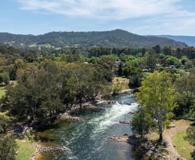 Rural / Farming commercial property for sale at 716 Back Eildon Road Eildon VIC 3713