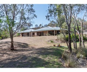 Rural / Farming commercial property for sale at 74 Magarey Road Mount Torrens SA 5244