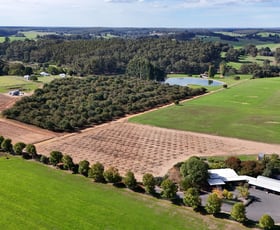 Rural / Farming commercial property for sale at 328 Middlesex Road (Middlesex) Manjimup WA 6258