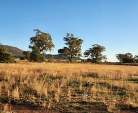 Rural / Farming commercial property for sale at 164 Voca Rd Curlewis NSW 2381