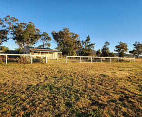 Rural / Farming commercial property for sale at 164 Voca Rd Curlewis NSW 2381