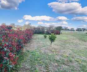 Rural / Farming commercial property for sale at 164 Voca Rd Curlewis NSW 2381