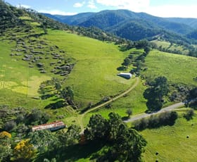 Rural / Farming commercial property for sale at 167 Dargo High Plains Dargo VIC 3862