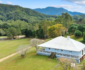 Rural / Farming commercial property for sale at 584 Nobbys Creek Road Nobbys Creek NSW 2484