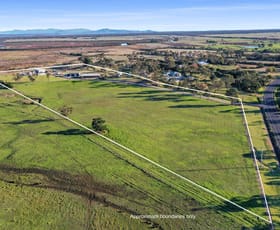 Rural / Farming commercial property for sale at 8082 South Gippsland Highway Alberton VIC 3971
