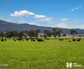 Rural / Farming commercial property for sale at 7458 Bylong Valley Way Bylong NSW 2849